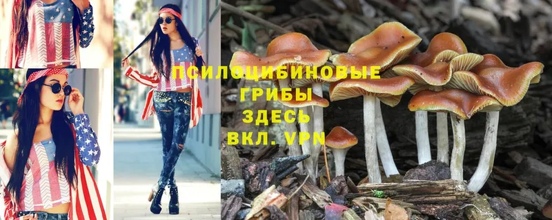 где найти наркотики  Борзя  Псилоцибиновые грибы MAGIC MUSHROOMS 